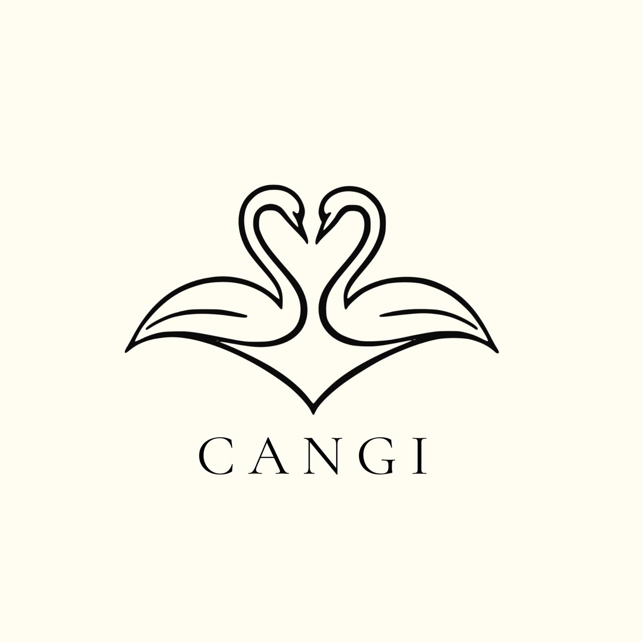 Maison Cangi
